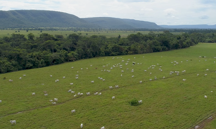 VALE DO GUAPORÉ - MT-EMBRAPA REALIZA CAPACITAÇÃO SOBRE ILPF